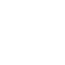 ce logo Schenectady